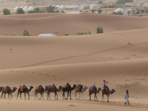 Tent Merzouga Safari